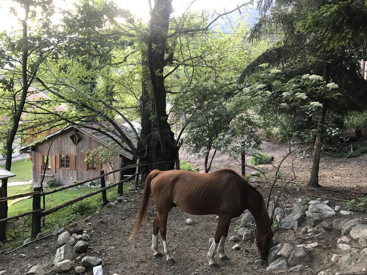 Gasserhof Aicha Natz-Schabs Экстерьер фото